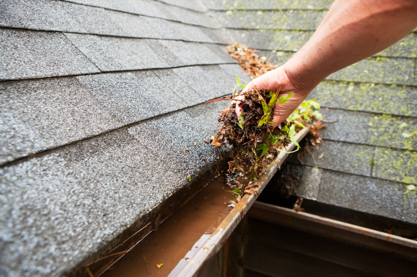 home maintenance tips for fall