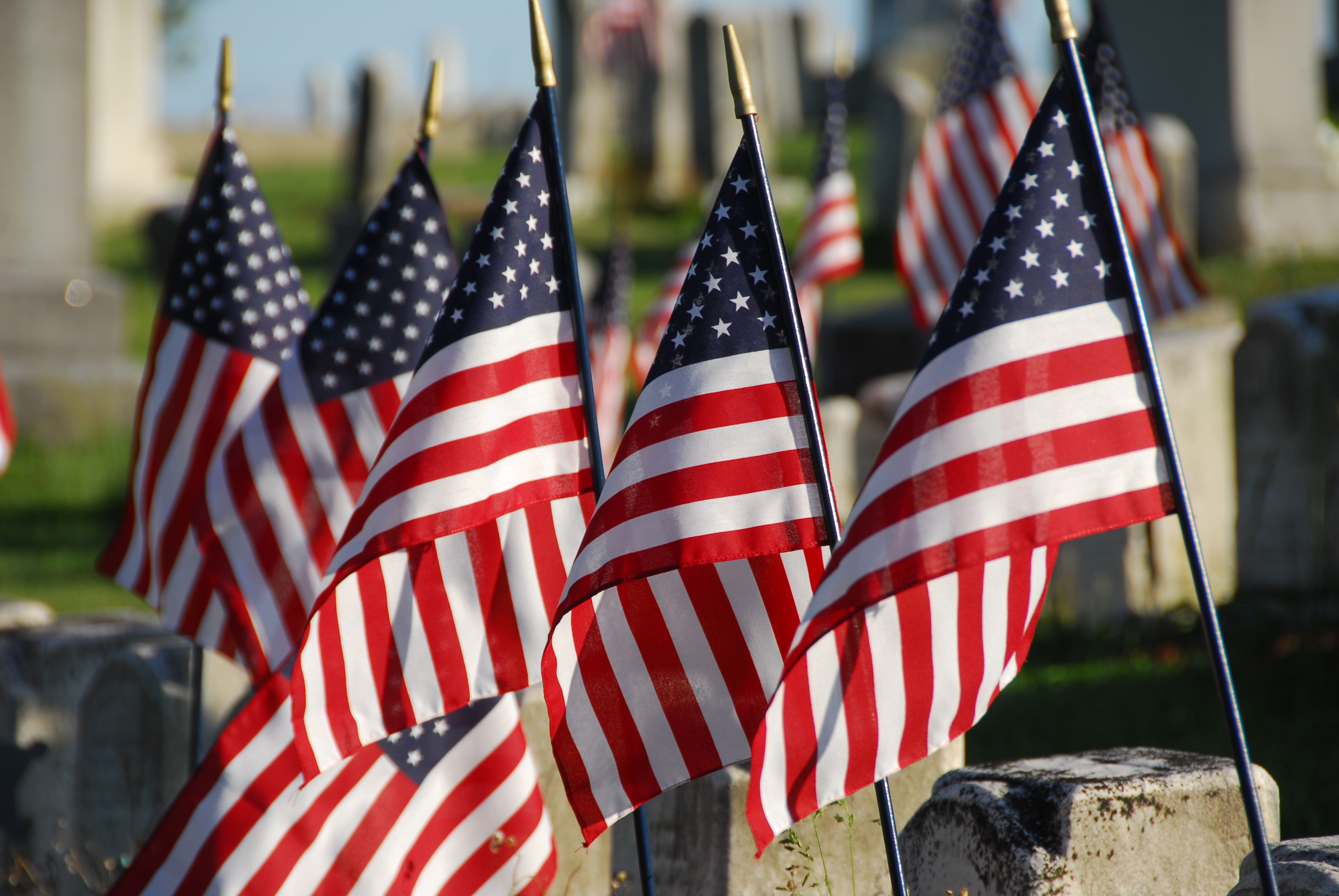 American flags waving above gravestones.