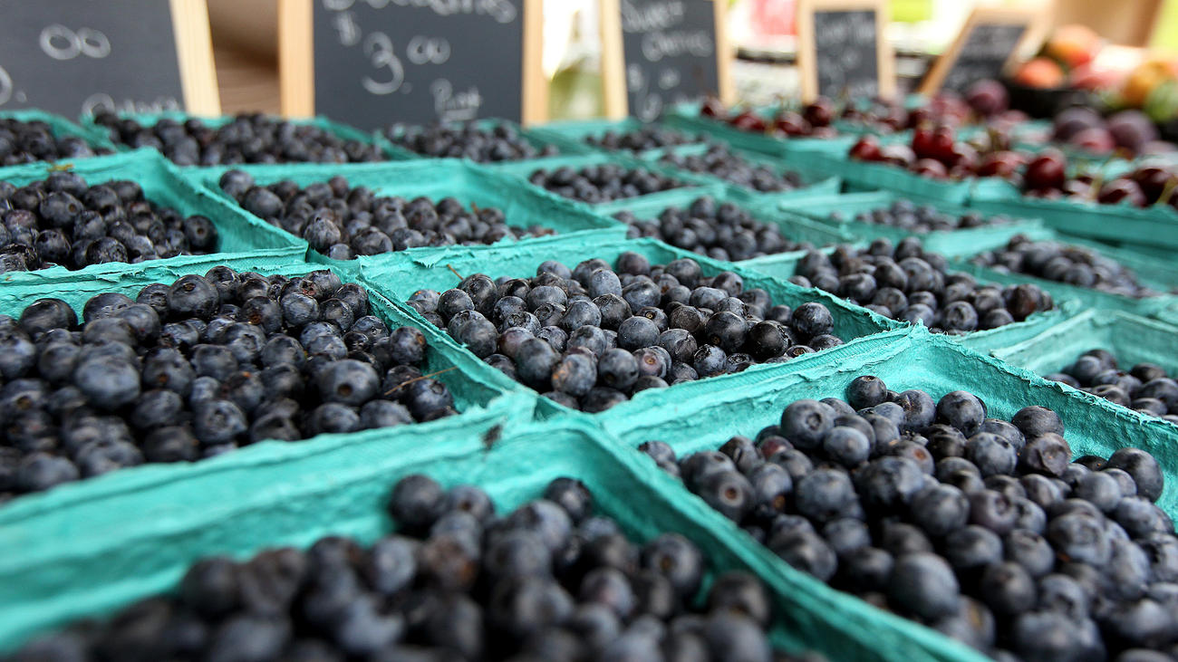 mc-pictures-bethlehem-blueberry-festival-20150-007