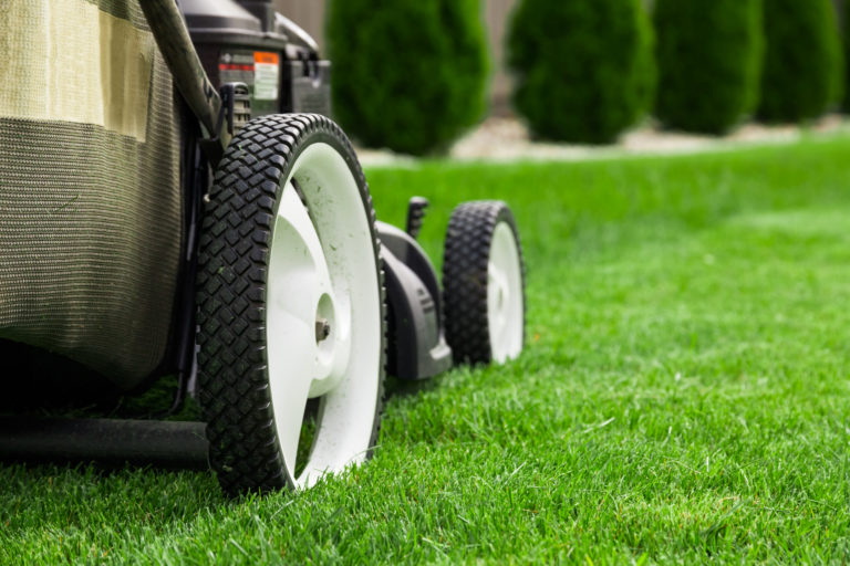 6 Lawn Care Tips for Greener Grass Judd Builders