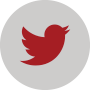 X (formerly Twitter) icon