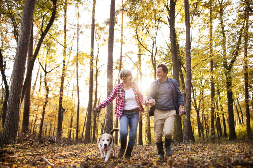 Active senior couple with dog on a walk in a beautiful autumn forest, running.