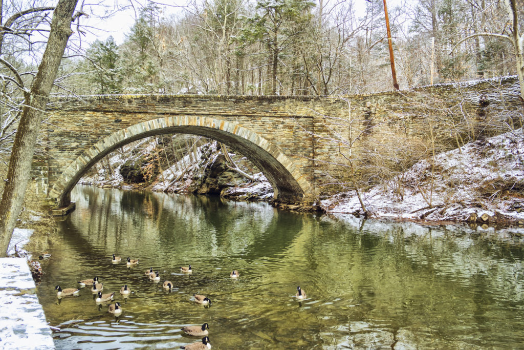 Wissahickon Valley Park, Philadelphia in winter