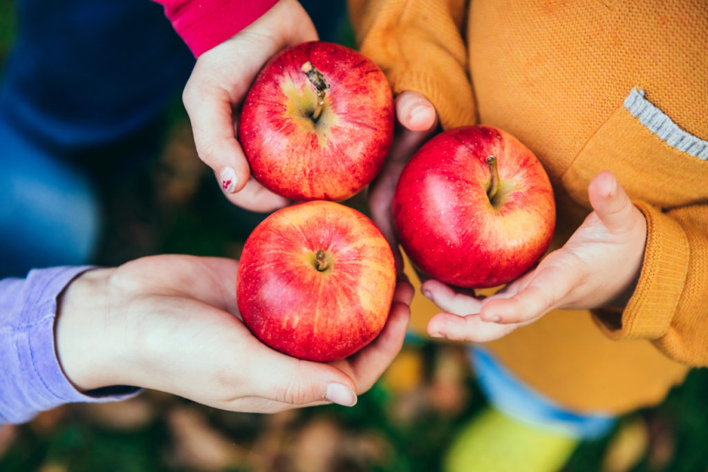 Kids in an orchard holding red apples